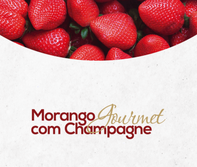 Morango Gourmet com Champagne