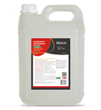 DESINFETANTE CONCENTRADO  5L - Aroma Amazônia