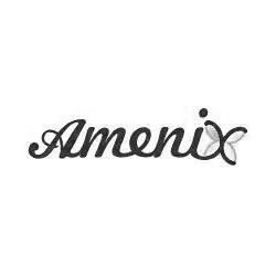 Logo_Amenix